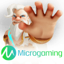 MICRO GAMING PLUS(MP)